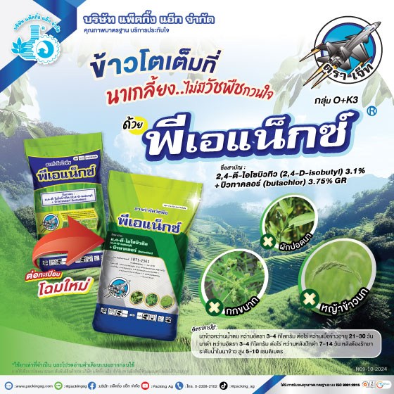 พีเอแน็กซ์