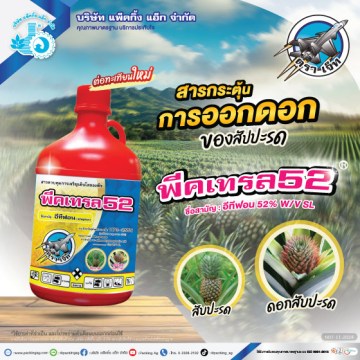 พีคเทรล52