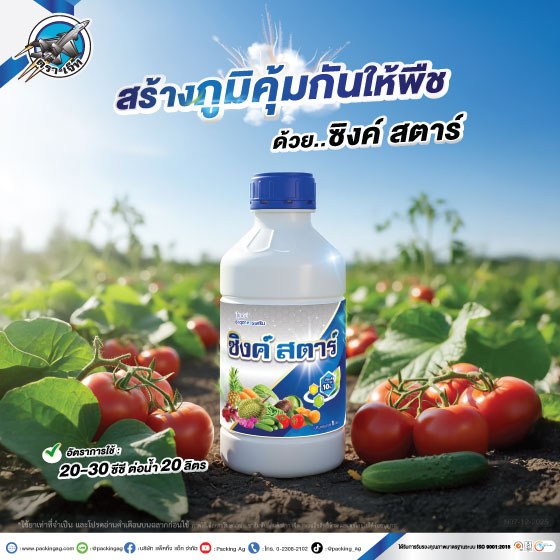 ซิงค์สตาร์