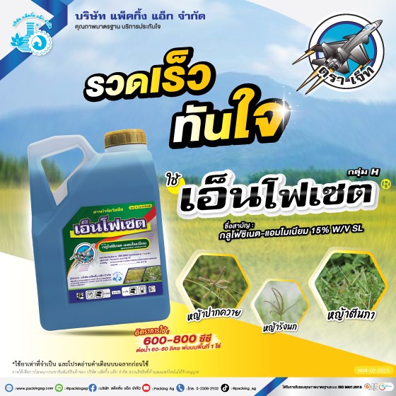 เอ็นโฟเซต