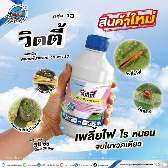 3Ad-PA-วิตตี้-(สินค้าใหม่)-ปี69-web