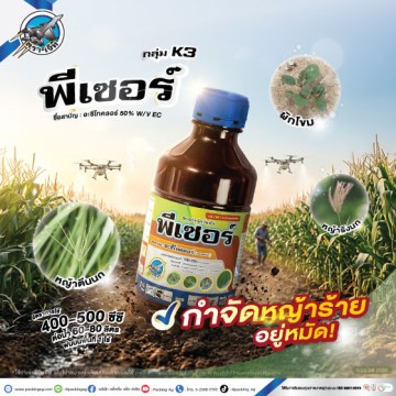 พีเซอร์