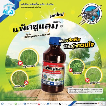 โซน่าโซน
