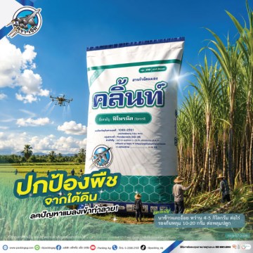 7Ad-PA-คลิ้นท์-(นาข้าว-อ้อย)-ปี69-web