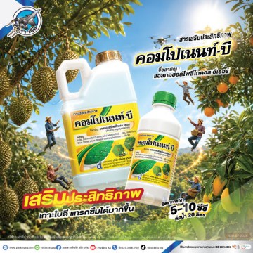 คอมโปเนนท์-บี