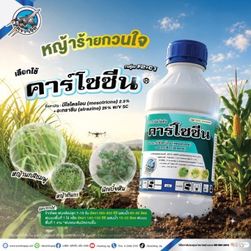 แพ็คโซ่