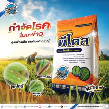 7Ad-PA-พีโคล-(นาข้าว)-ปี69-web