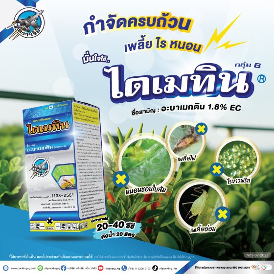 ไดเมทิน