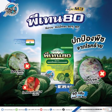 พีเทน 80