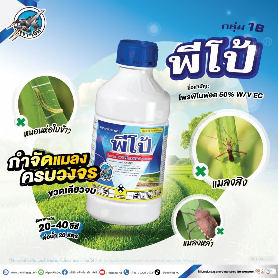 พีโปร